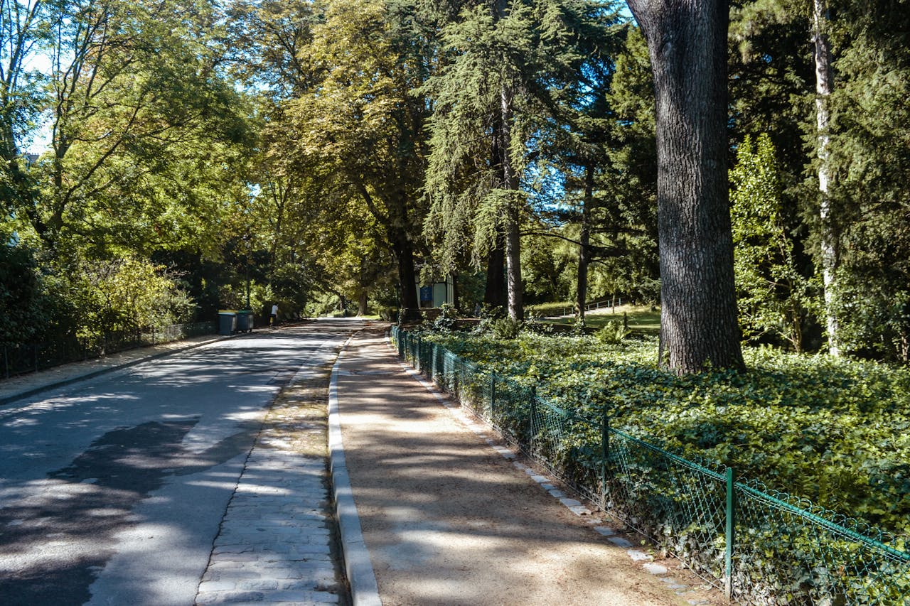 PARQUE PARISINO